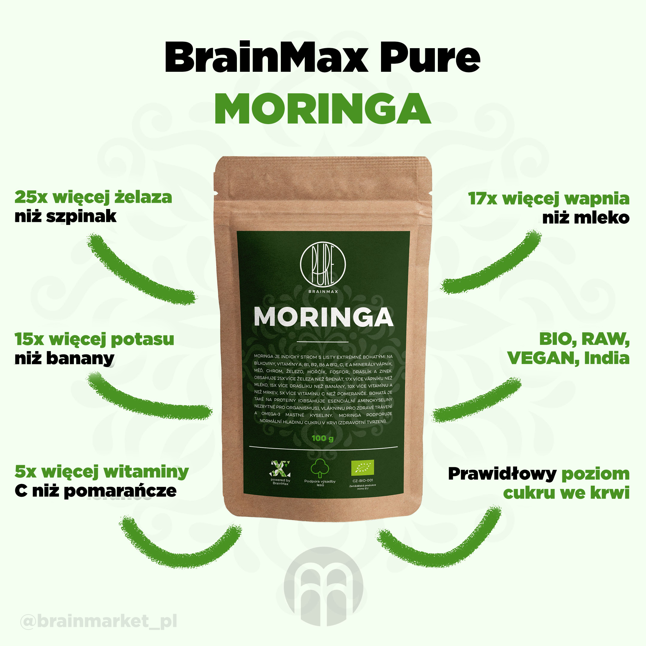 moringa_pavouk_pl